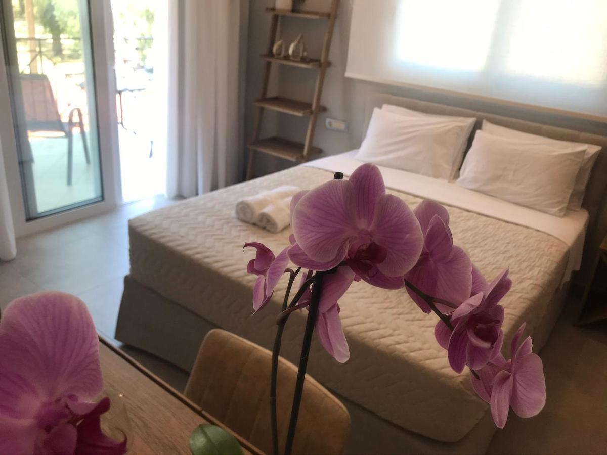 Dokos D Studios Parga Exteriör bild